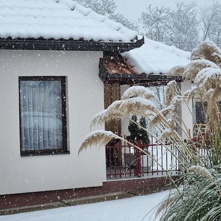 Ferienwohnung Apartman Savic Bajina Basta Exterior foto