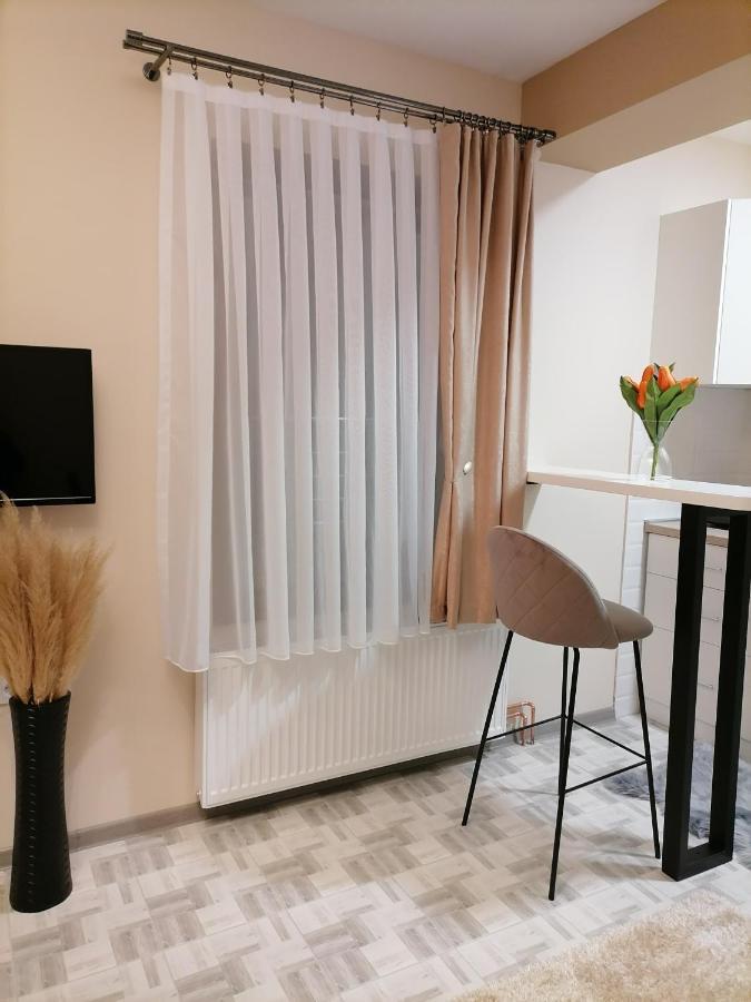 Ferienwohnung Apartman Savic Bajina Basta Exterior foto